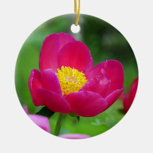 Hot Pink-Rose Keramik Ornament (Vorne)