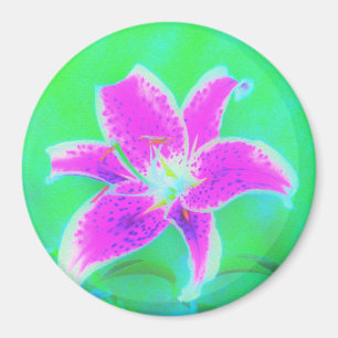Hot Pink Stargazer Liege auf Türkis und Grün Magnet