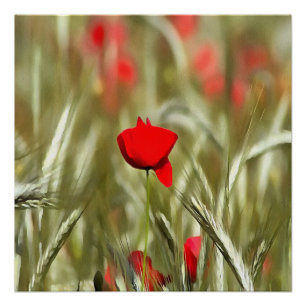 Hot Poppy Acrylmalerei Poster