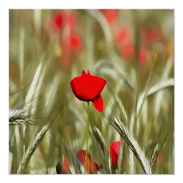 Hot Poppy Acrylmalerei Poster (Vorderseite)