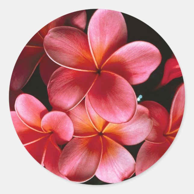 Hot-Rosa-Matching Flower-Umschlag Aufkleber-Aufkle Runder Aufkleber (Vorderseite)