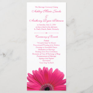 Hot rose Gerbera Daisy Programme de mariage blanc