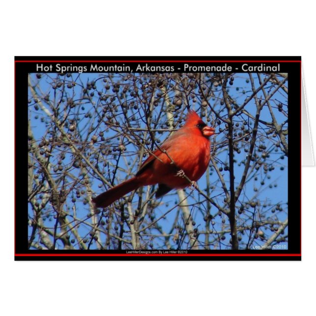 Hot Springs Bergpromenade Kardinal Geschenke (Vorderseite (Horizontal))