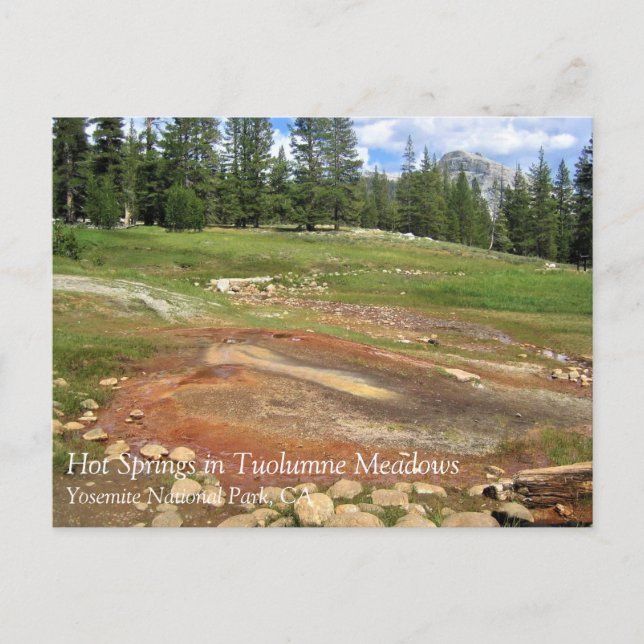 Hot Springs in Tuolumne Meadows, Yosemite, CA Post Postkarte (Vorderseite)