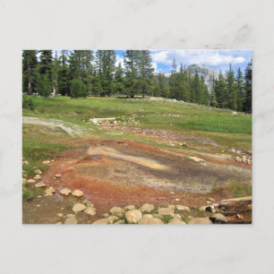 Hot Springs in Tuolumne Meadows, Yosemite, CA Postkarte