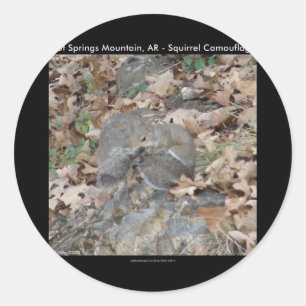 Hot Springs Mountain, AR-Eichhörnchen-Tarnungsgesc Runder Aufkleber
