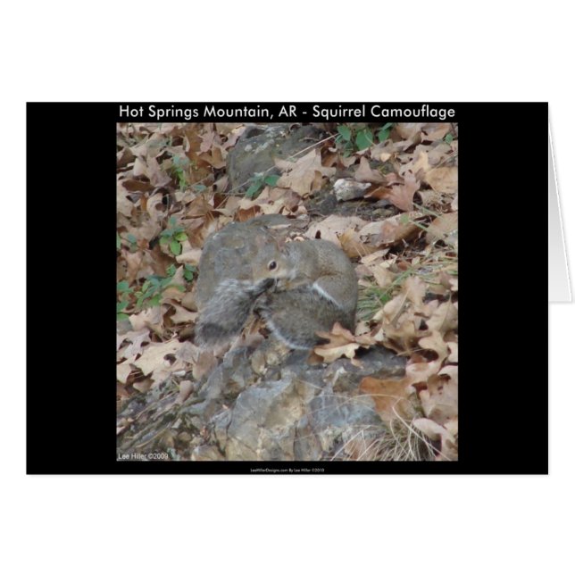 Hot Springs Mountain, AR Squirrel Camouflage Gesch (Vorderseite (Horizontal))