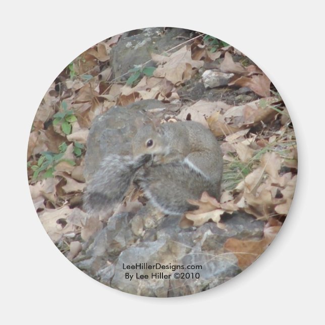 Hot Springs Mountain, AR Squirrel Camouflage Gesch Magnet (Vorne)