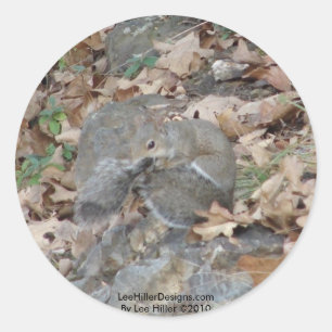 Hot Springs Mountain, AR Squirrel Camouflage Gesch Runder Aufkleber