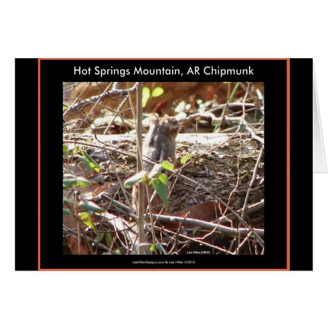 Hot Springs Mountain, Arkansas Chipmunk Cadfts (Devant horizontal)