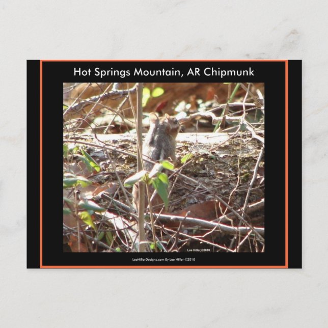 Hot Springs Mountain, Arkansas Chipmunk Geschenke Postkarte (Vorderseite)