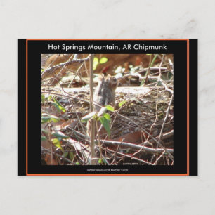 Hot Springs Mountain, Arkansas Streifenhörnchenges Postkarte