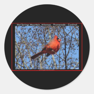 Hot Springs Mountain Promenade Cardinal Geschenke Runder Aufkleber