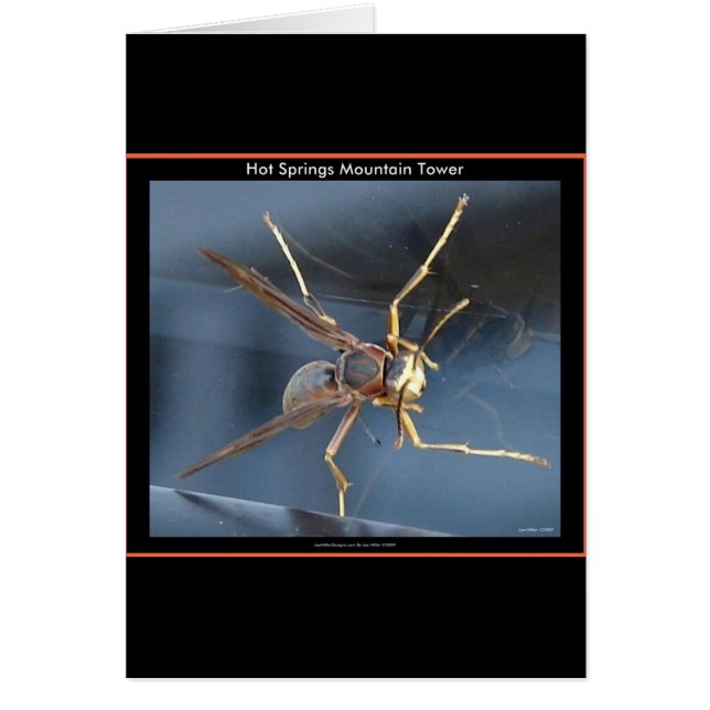 Hot Springs Mountain Wasp Don & Aparel (Devant)