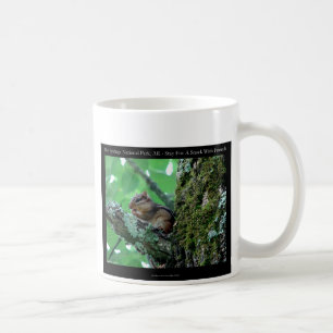 Hot Springs National Park, AR Chipmunk Snack Gesch Kaffeetasse