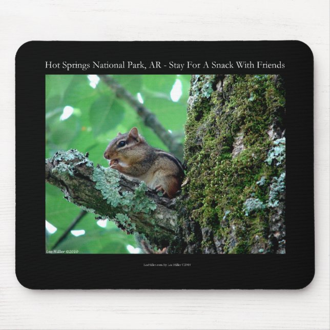 Hot Springs National Park, AR Chipmunk Snack Gesch Mousepad (Vorne)