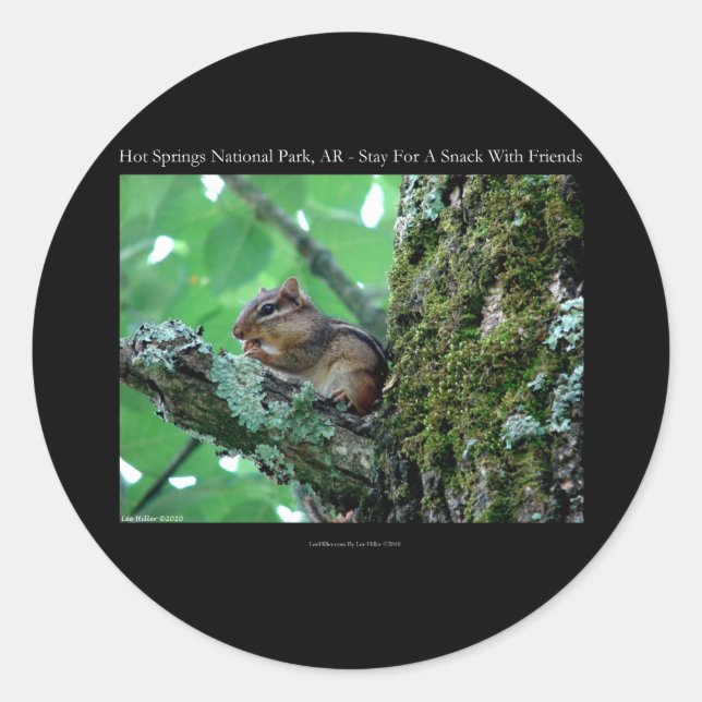 Hot Springs National Park, AR Chipmunk Snack Gesch Runder Aufkleber (Vorderseite)