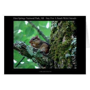 Hot Springs National Park, AR Chipmunk Snack Gifts