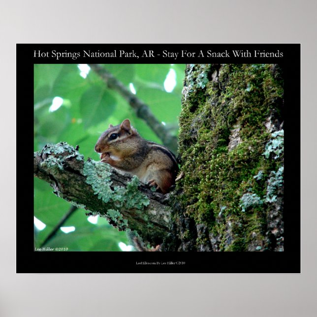 Hot Springs National Park, AR Chipmunk Snack Poster (Vorne)