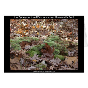 Hot Springs National Park, AR - Honeysuckle Trail