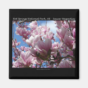 Hot Springs National Park AR Teller Magnolien Gesc Magnet
