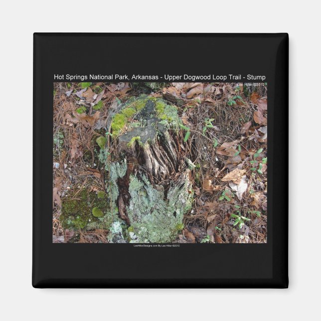 Hot Springs National Park, AR Upper Dogwood Loop Magnet (Vorne)