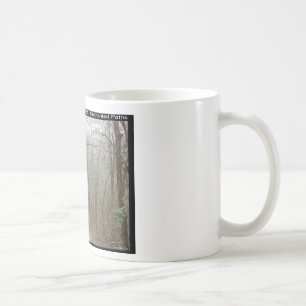 Hot Springs National Park, AR - Verzauberte Wege Kaffeetasse