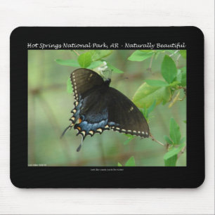 Hot Springs National Park Schwalbenschwanz-Schmett Mousepad