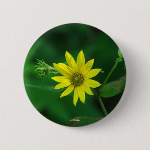 Hot Springs National Park Wald-Sonnenblumen-Gesche Button