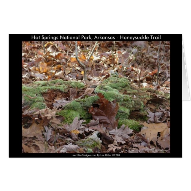 Hot Springs Nationalpark, AR - Honeysuckle Trail (Vorderseite (Horizontal))