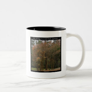 Hot Springs Nationalpark, AR Oberhalb der Promenad Zweifarbige Tasse