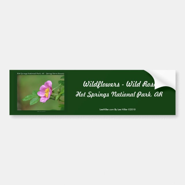Hot Springs Nationalpark, AR Wild Rose Geschenke Autoaufkleber (Vorne)