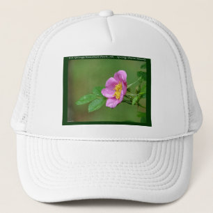 Hot Springs Nationalpark, AR Wild Rose Geschenke Truckerkappe