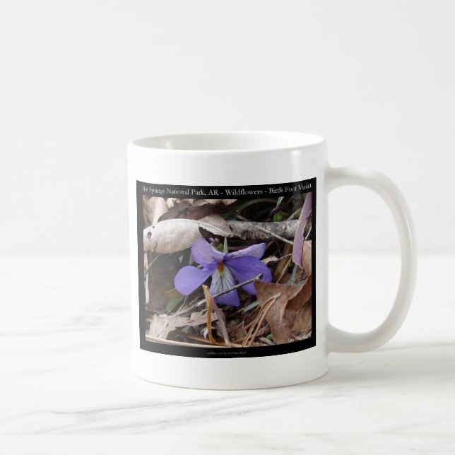 Hot Springs Nationalpark, AR Wilde Violets Geschen Kaffeetasse (Rechts)