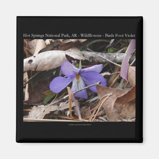 Hot Springs Nationalpark, AR Wilde Violets Geschen Magnet (Vorne)