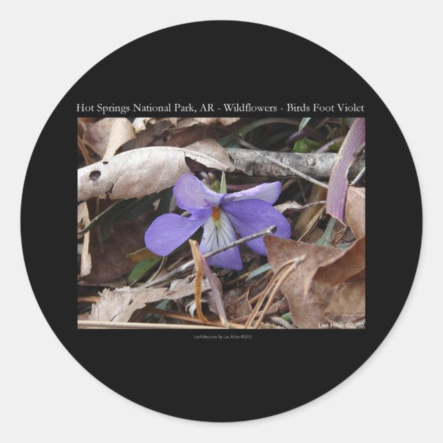 Hot Springs Nationalpark, AR Wilde Violets Geschen Runder Aufkleber (Vorderseite)