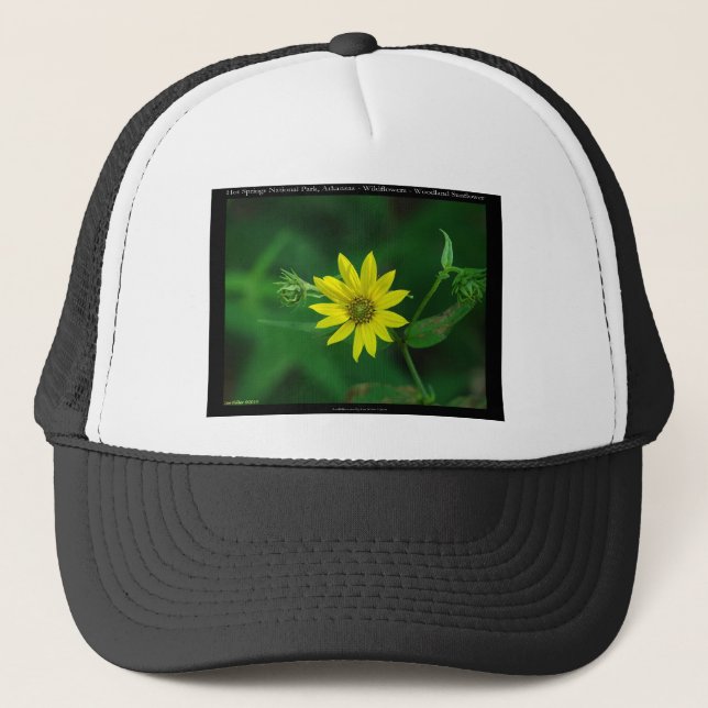 Hot Springs Nationalpark Waldland Sonnenblumengesc Truckerkappe (Vorderseite)