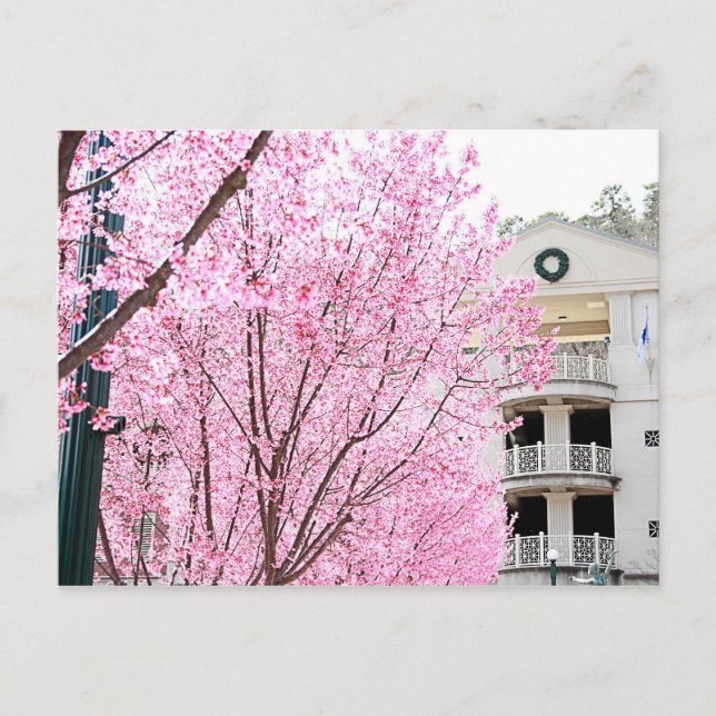 Hot Springs Postcard Postkarte (Vorderseite)