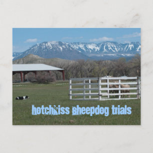 Hotchkiss Sheepdog-Tests Postkarte