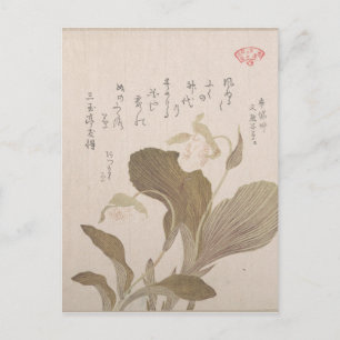 Hotei Flowers - Kubo Shunman (Japanisch) Postkarte