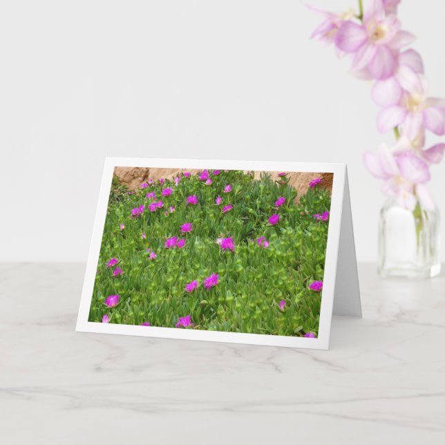 Hottentot Fig, Plante de glace sur carte Canyon (Orchidée)