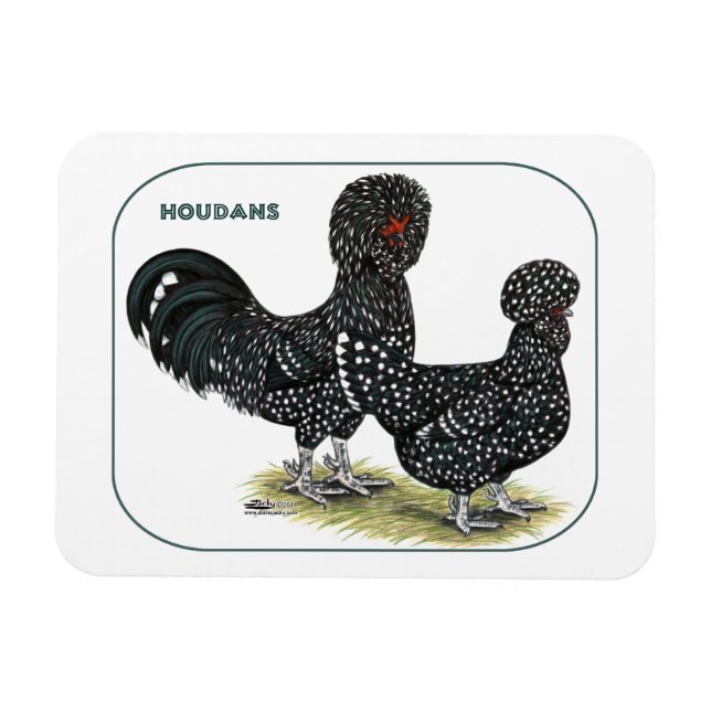 Houdan Chickens Magnet (Horizontal)