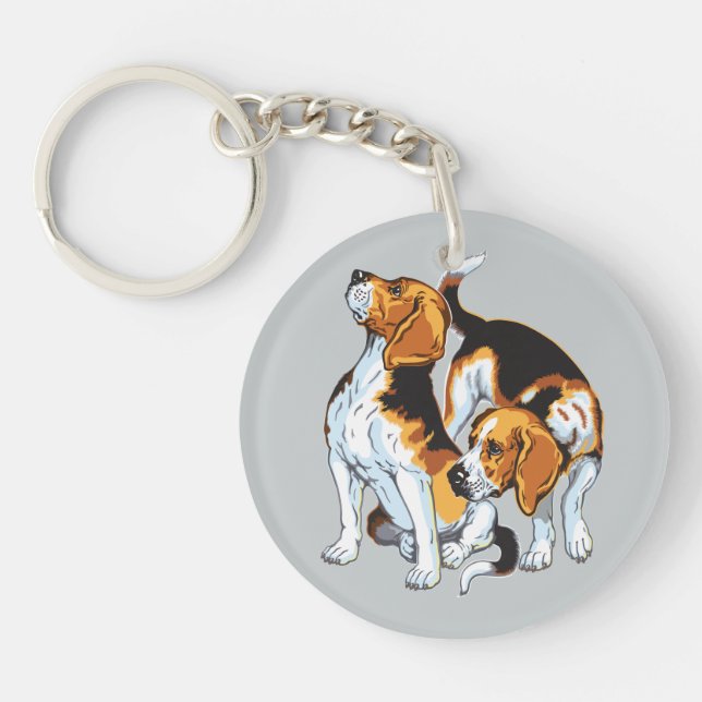 Hound beagle (Devant)
