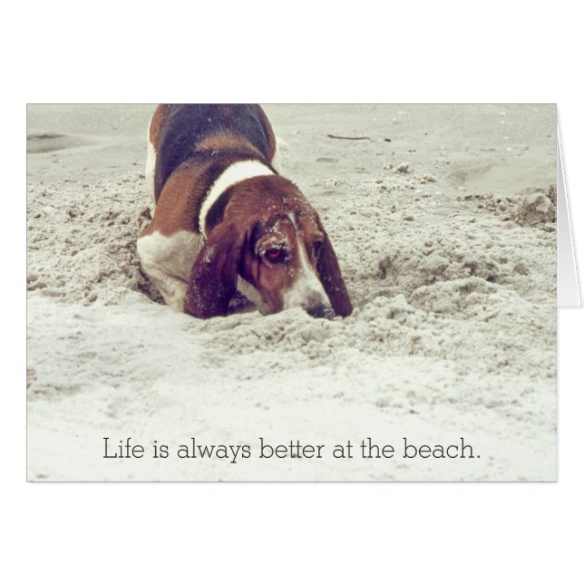 Hound Dog à la plage, Chien creusant dans le sable (Devant horizontal)