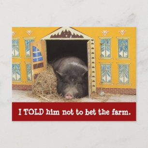 House and Pig Wir haben neue Adresskarten verschob Ankündigungspostkarte