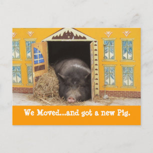 House and Pig Wir haben neue Adresskarten verschob Ankündigungspostkarte