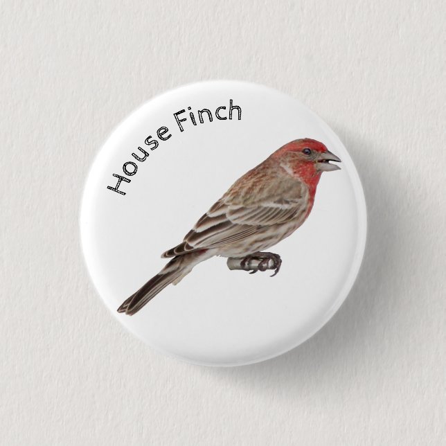 House Finch Button (Vorderseite)