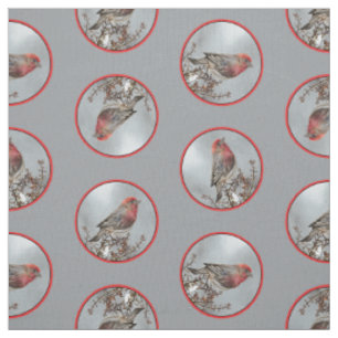 House Finch im Winter Snow Original Foto Stoff