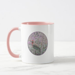 House Finch in Salvia Tasse