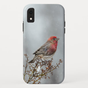House Finch in Snow - Original Foto Case-Mate iPhone Hülle